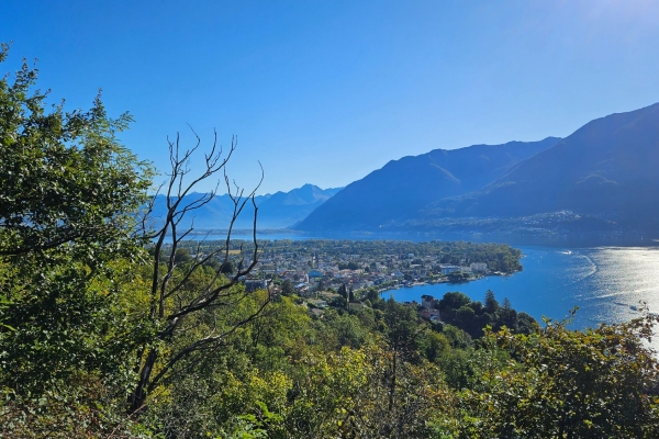 Bosco Maia e Monte Verità- luoghi mistici e naturalistici tra streghe e ranocchi